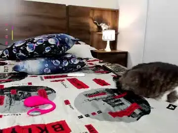 Chaturbate Adult Webcam of hanny_13