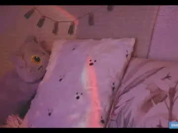 Chaturbate Free Live Porn of softlee