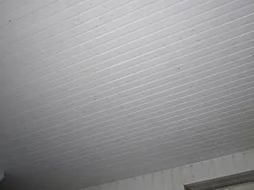 Chaturbate Watch Live Sex Cams of dustyn_fox