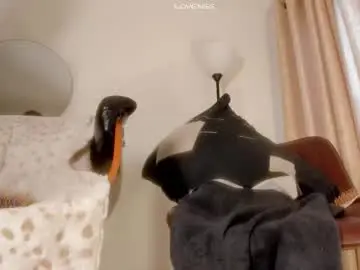 Chaturbate Live Sex of isabelsexysmile_