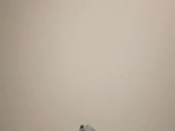 Chaturbate Private Sex Chat of _annieone