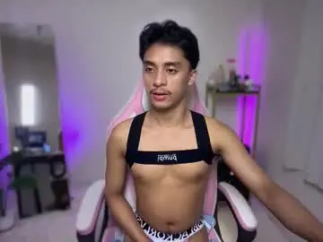 Chaturbate Nude Webcam of twink_hairyass69