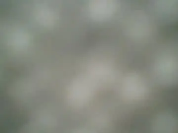 Chaturbate Adult Webcams of kennerfox77