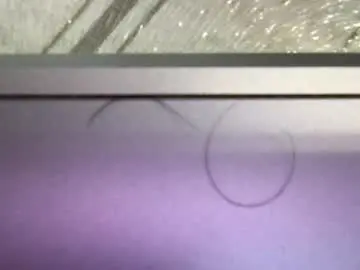 Chaturbate Live Sex Cam of _alan_bear_