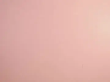 Chaturbate Live Sex of sunny_flower_