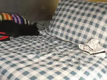 Chaturbate Live Porn of vito_benz