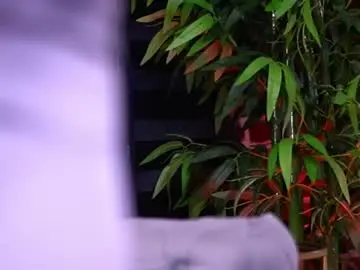 Chaturbate Adult Webcams of ashleeangel