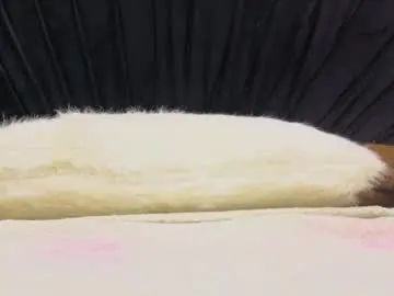 Chaturbate Live Porn of megann_boobs