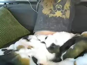 Chaturbate Nude Webcam of alliebearx