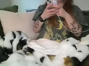 Chaturbate Adult Video Chat of alliebearx