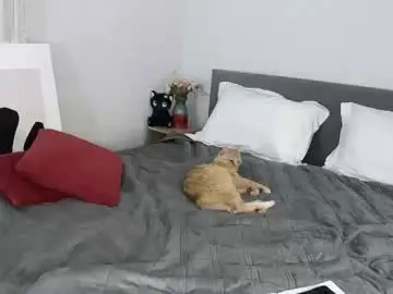 Chaturbate Live Sex Cam of bellafae