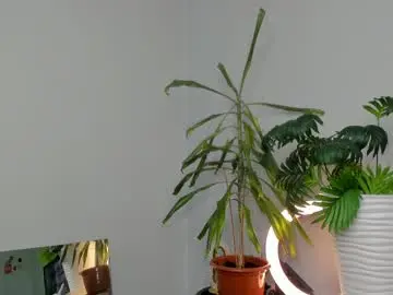 Chaturbate Sex Chat of manita_misti