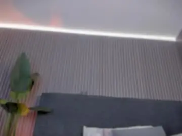 Chaturbate Nude Webcam of emelie_89