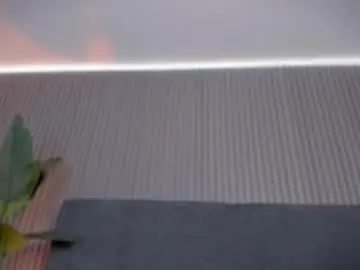 Chaturbate Adult Video Chat of emelie_89