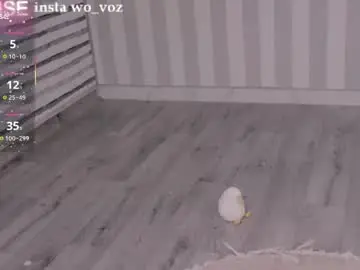 Chaturbate Free Live Porn of careful_i_bite