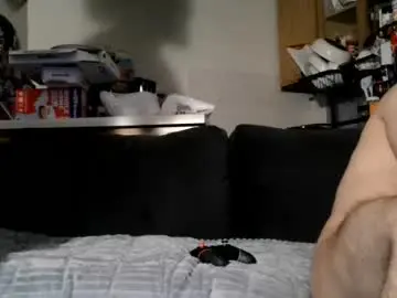 Chaturbate Adult Webcam of whosten0