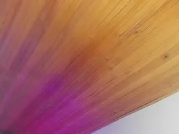 Chaturbate Sex Cam of irisbeel