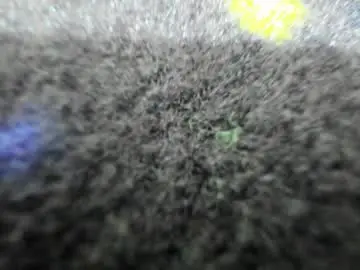 Chaturbate Best live sex cam show of aisharouhi