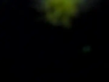 Chaturbate Adult Video Chat of aisharouhi