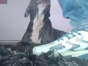 Chaturbate Best live sex cam show of tommy_c0rtez