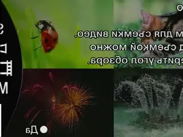 Chaturbate Adult Webcam of sinfulfairy