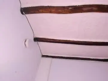 Chaturbate Free Live Porn of hilaryblaze