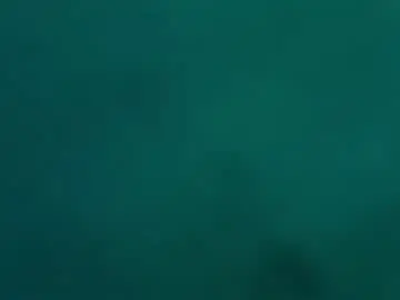Chaturbate Watch Live Sex Cams of unic0rnporn