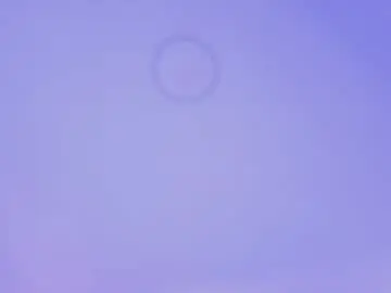 Chaturbate Nude Webcam of sharonlyn