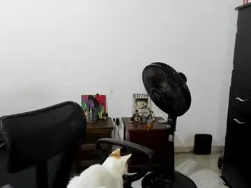 Chaturbate Private Sex Chat of santiceballo