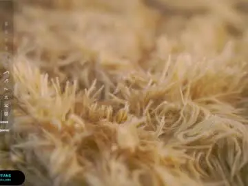 Chaturbate Free Live Porn of oke_doke