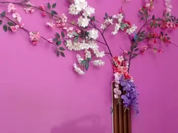 Chaturbate Adult Video Chat of skinnysofia18