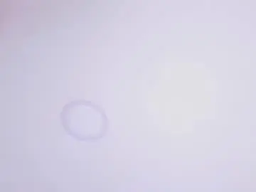 Chaturbate Sex Chat of roxannemorguet_