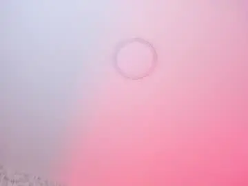 Chaturbate Free Live Porn of sasha_wolff