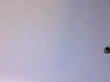 Chaturbate Adult Webcam of toxicpassion