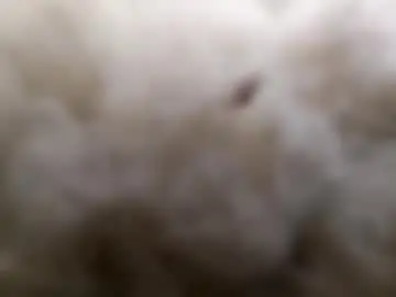 Chaturbate Best live sex cam show of dirtyyy_thoughts