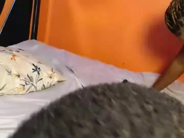 Chaturbate Best Webcam of tashaivy