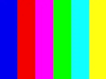 Chaturbate Sex Chat of gerridae