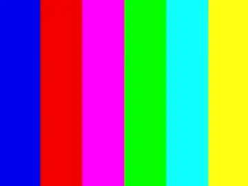 Chaturbate Best Webcam of gerridae