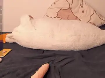 Chaturbate Sex Cam of neiljungg