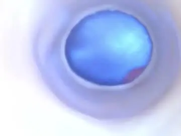 Chaturbate Nude Webcam of paulainoscente