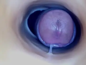 Chaturbate Free Live Porn of paulainoscente