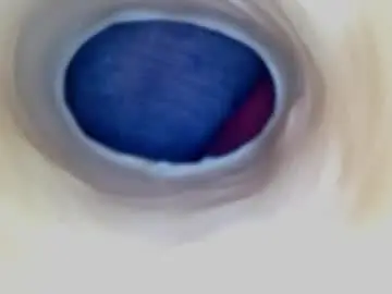 Chaturbate Live Sex of paulainoscente