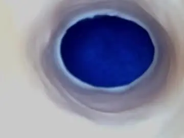 Chaturbate Adult Video Chat of paulainoscente