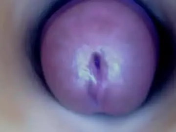 Chaturbate Free Live Porn of paulainoscente