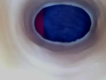 Chaturbate Free Porn Cam of paulainoscente