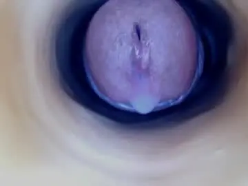 Chaturbate Best Webcam of paulainoscente