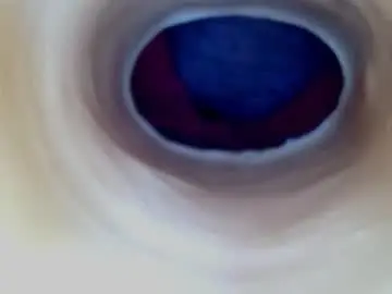 Chaturbate Free Porn Cam of paulainoscente