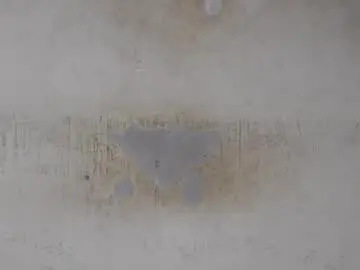 Chaturbate Nude Webcam of wet_pussy200