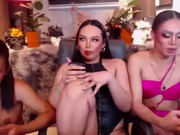 Chaturbate Sex Cam of transpornidol