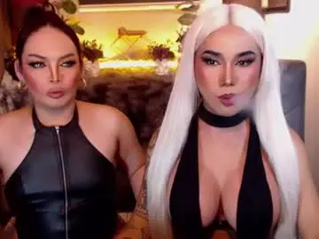 Chaturbate Best Webcam of transpornidol